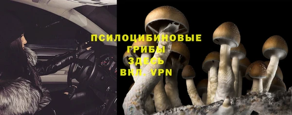 дживик Алексин