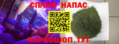 СК Волгодонск