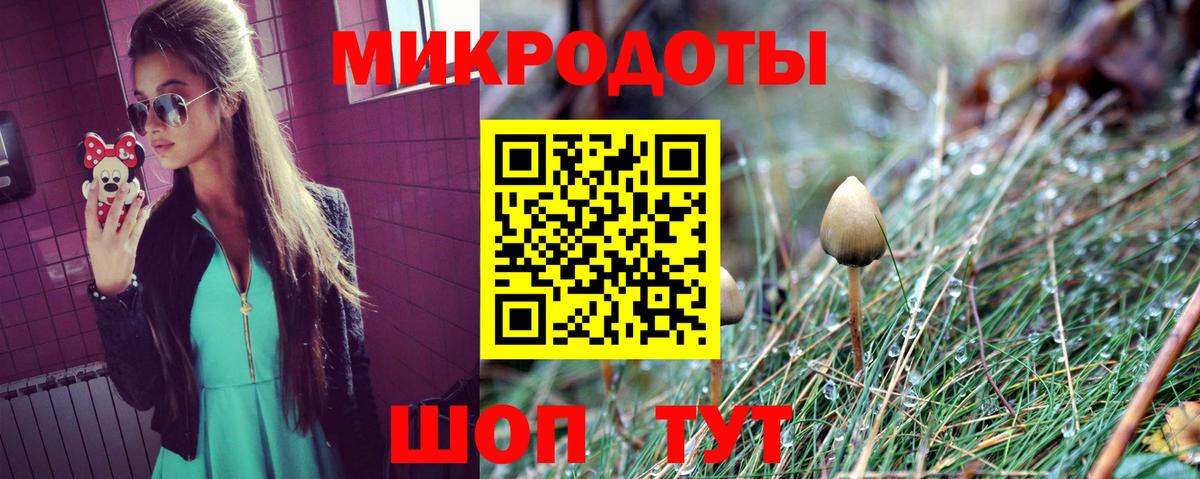 Псилоцибиновые грибы Psilocybe Красногорск
