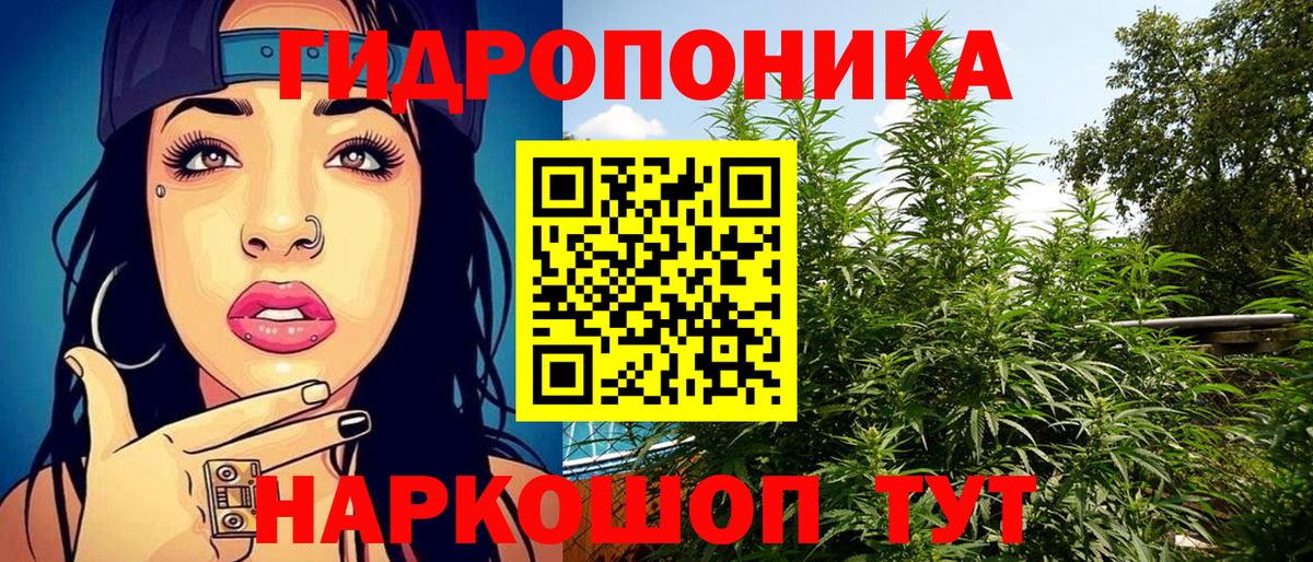Бошки Шишки Bruce Banner Красногорск